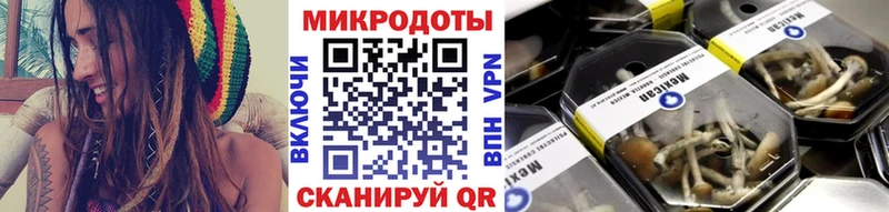купить закладку  Ейск  Псилоцибиновые грибы мухоморы 
