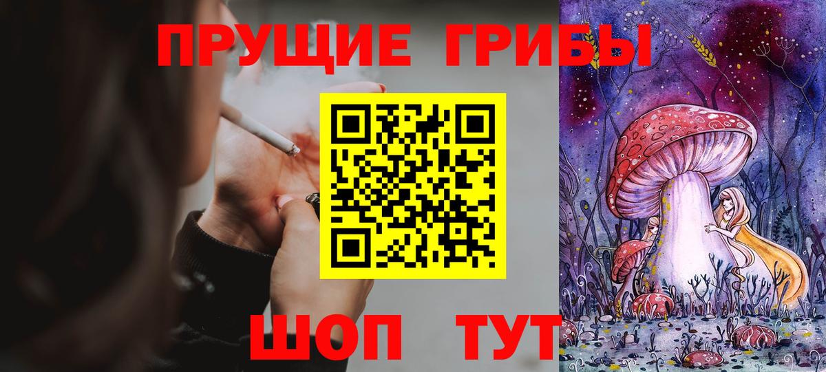 Псилоцибиновые грибы Cubensis Ейск