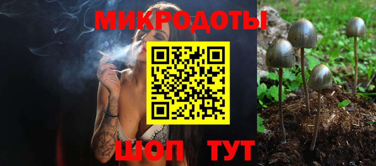 Псилоцибиновые грибы мицелий  Вход с VPN  Ейск  Псилоцибиновые грибы Cubensis 