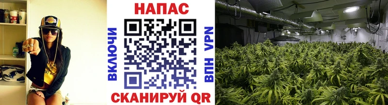 как найти наркотики  Ейск  Бошки марихуана THC 21% 
